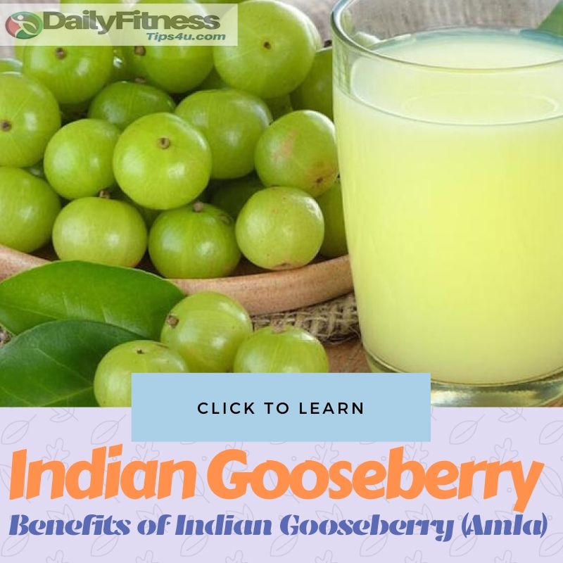 Benefits of Eating Indian Gooseberry